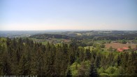 Archiv Foto Webcam Erlebnisturm Baumkronenweg Kopfing 13:00