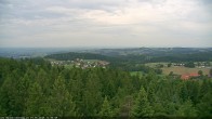 Archiv Foto Webcam Erlebnisturm Baumkronenweg Kopfing 11:00