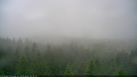 Archiv Foto Webcam Erlebnisturm Baumkronenweg Kopfing 05:00