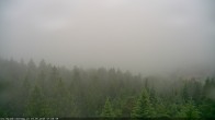 Archiv Foto Webcam Erlebnisturm Baumkronenweg Kopfing 06:00