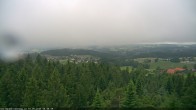 Archiv Foto Webcam Erlebnisturm Baumkronenweg Kopfing 07:00