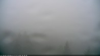 Archiv Foto Webcam Erlebnisturm Baumkronenweg Kopfing 05:00