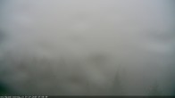 Archiv Foto Webcam Erlebnisturm Baumkronenweg Kopfing 06:00