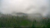 Archiv Foto Webcam Erlebnisturm Baumkronenweg Kopfing 07:00