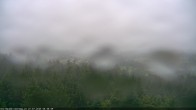Archiv Foto Webcam Erlebnisturm Baumkronenweg Kopfing 05:00