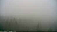 Archiv Foto Webcam Erlebnisturm Baumkronenweg Kopfing 07:00