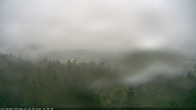 Archiv Foto Webcam Erlebnisturm Baumkronenweg Kopfing 13:00