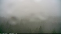 Archiv Foto Webcam Erlebnisturm Baumkronenweg Kopfing 17:00
