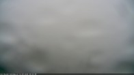 Archiv Foto Webcam Erlebnisturm Baumkronenweg Kopfing 08:00