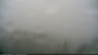 Archiv Foto Webcam Erlebnisturm Baumkronenweg Kopfing 09:00
