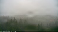 Archiv Foto Webcam Erlebnisturm Baumkronenweg Kopfing 13:00