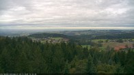 Archiv Foto Webcam Erlebnisturm Baumkronenweg Kopfing 11:00