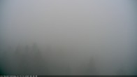 Archiv Foto Webcam Erlebnisturm Baumkronenweg Kopfing 07:00