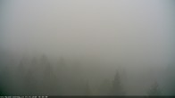 Archiv Foto Webcam Erlebnisturm Baumkronenweg Kopfing 09:00