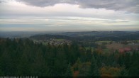 Archiv Foto Webcam Erlebnisturm Baumkronenweg Kopfing 07:00