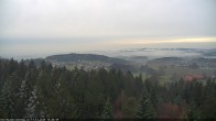 Archiv Foto Webcam Erlebnisturm Baumkronenweg Kopfing 13:00