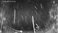 Archived image Webcam Ladurns - Malga Edelweis 01:00