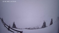 Archiv Foto Webcam Ladurns - Edelweißhütte 13:00