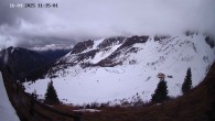 Archived image Webcam Ladurns - Malga Edelweis 11:00