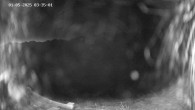 Archiv Foto Webcam Ladurns - Edelweißhütte 03:00