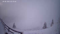 Archiv Foto Webcam Ladurns - Edelweißhütte 05:00
