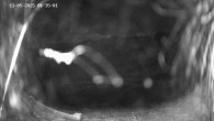 Archiv Foto Webcam Ladurns - Edelweißhütte 01:00