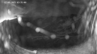 Archiv Foto Webcam Ladurns - Edelweißhütte 03:00