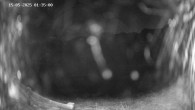 Archived image Webcam Ladurns - Malga Edelweis 01:00