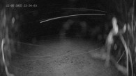 Archiv Foto Webcam Ladurns - Edelweißhütte 23:00