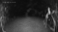 Archiv Foto Webcam Ladurns - Edelweißhütte 01:00