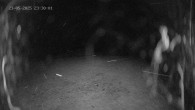Archived image Webcam Ladurns - Malga Edelweis 23:00