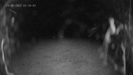 Archived image Webcam Ladurns - Malga Edelweis 01:00