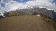 Archived image Webcam Ladurns - Malga Edelweis 11:00