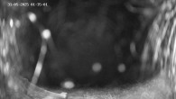 Archiv Foto Webcam Ladurns - Edelweißhütte 01:00