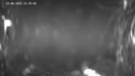Archived image Webcam Ladurns - Malga Edelweis 21:00