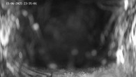 Archived image Webcam Ladurns - Malga Edelweis 23:00