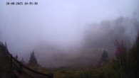 Archived image Webcam Ladurns - Malga Edelweis 09:00