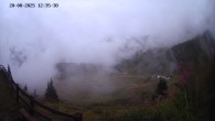Archived image Webcam Ladurns - Malga Edelweis 11:00