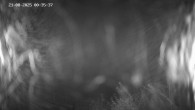 Archiv Foto Webcam Ladurns - Edelweißhütte 00:00