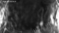 Archived image Webcam Ladurns - Malga Edelweis 03:00