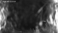 Archived image Webcam Ladurns - Malga Edelweis 19:00