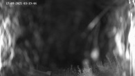 Archived image Webcam Ladurns - Malga Edelweis 01:00