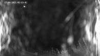 Archived image Webcam Ladurns - Malga Edelweis 03:00