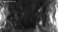 Archived image Webcam Ladurns - Malga Edelweis 01:00
