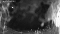 Archived image Webcam Ladurns - Malga Edelweis 01:00