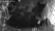 Archived image Webcam Ladurns - Malga Edelweis 03:00