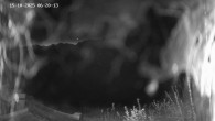 Archived image Webcam Ladurns - Malga Edelweis 05:00
