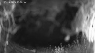 Archived image Webcam Ladurns - Malga Edelweis 05:00