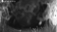Archived image Webcam Ladurns - Malga Edelweis 17:00