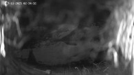 Archived image Webcam Ladurns - Malga Edelweis 01:00
